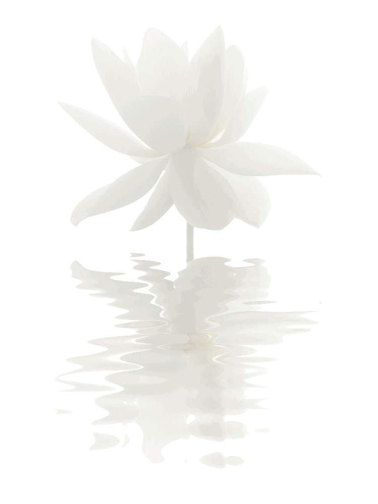 Flor de cosmética natural